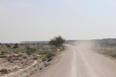 IMG_3986