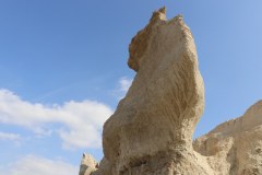 IMG_4085