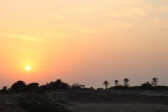 IMG_4306