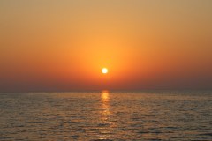IMG_4310