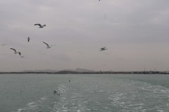 IMG_4357