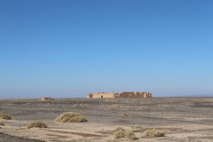 IMG_4529
