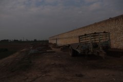 IMG_5201