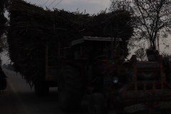 IMG_5205