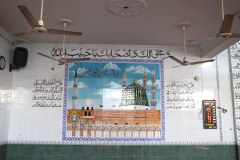 IMG_5252