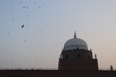 IMG_5439