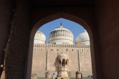 IMG_5599