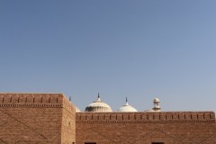 IMG_5558