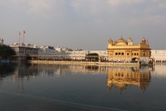 IMG_6219