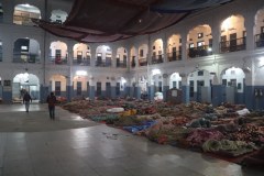 IMG_6305