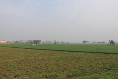 IMG_6334