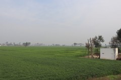 IMG_6335