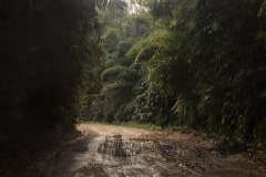 IMG_2607