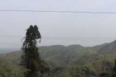 IMG_6722