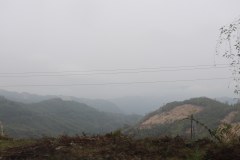 IMG_6761