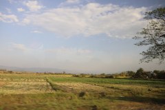 IMG_6846