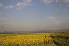 IMG_6866