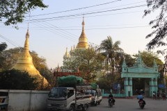 IMG_6961