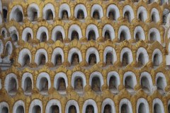 IMG_6963