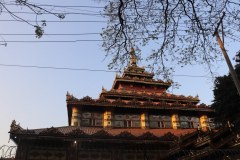 IMG_6968