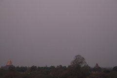 IMG_7219