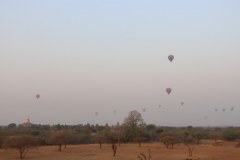 IMG_7259