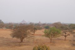 IMG_7262