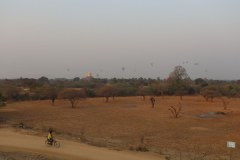 IMG_7269