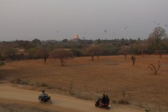 IMG_7271