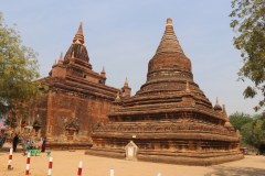 IMG_7329