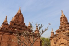 IMG_7344