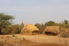 IMG_7355