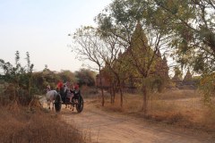 IMG_7361