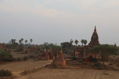 IMG_7372