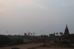 IMG_7391