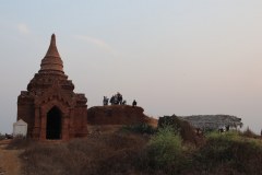 IMG_7392