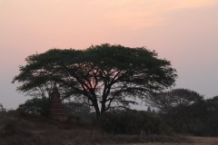 IMG_7393