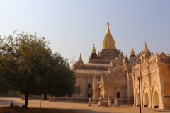 IMG_7401