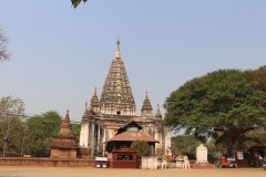 IMG_7411