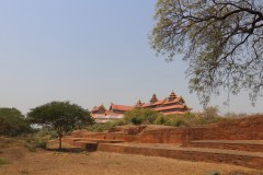 IMG_7456