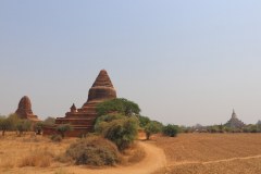 IMG_7459