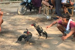 IMG_2928