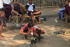 IMG_2937