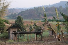 IMG_7863