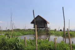 IMG_8010