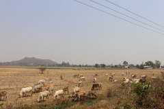 IMG_8500