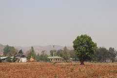 IMG_8508