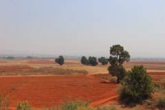 IMG_8544