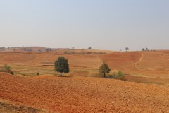 IMG_8563
