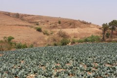 IMG_8571